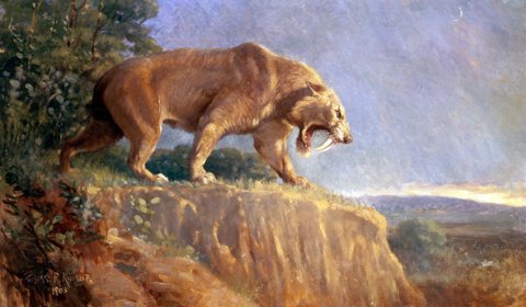 Knight Smilodon.