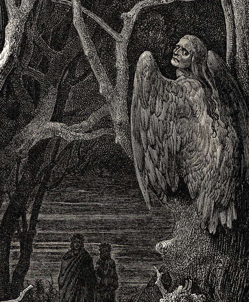 Dore engraving of harpies, bird-bodied women, in the Wood of the Suicides.
