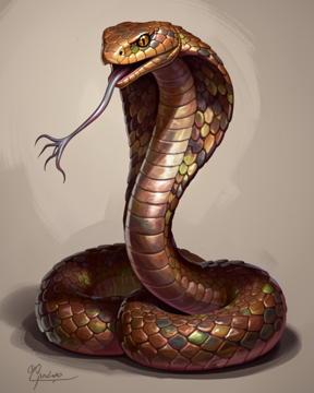 Snake, Spitting Cobra