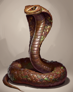 Giant Snake, Cobra