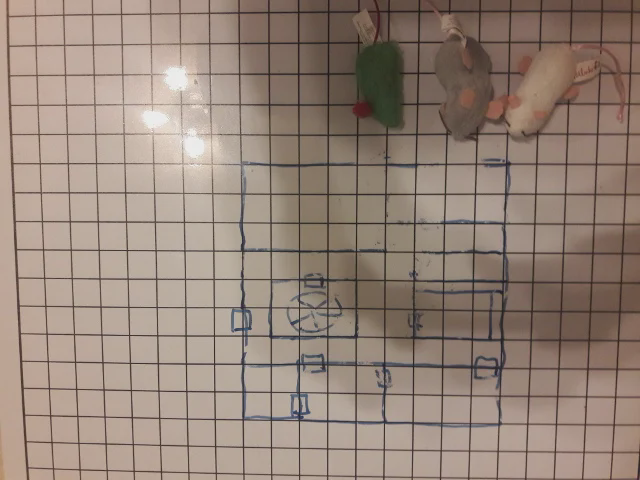 Session Map
